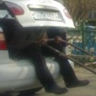 Аватара пользователя