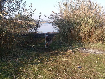 DSC_0381 м.jpg (212.98 КБ) Просмотров: 19245 DSC_0381 м.jpg