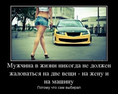 выбор.jpg