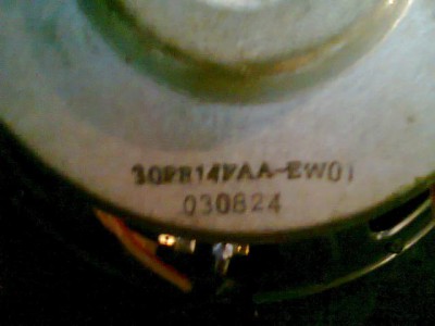 1133471.jpg