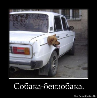 1356193498_poster_11661.jpg