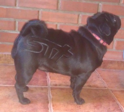 IMAG0558_2.jpg (76.48 КБ) Просмотров: 6105 IMAG0558_2.jpg