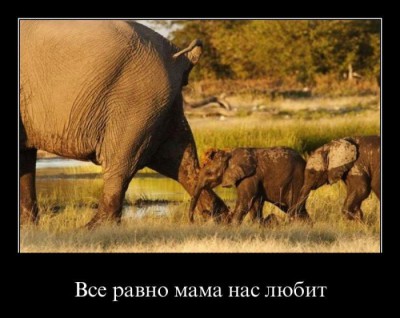 demotivator-013.jpg