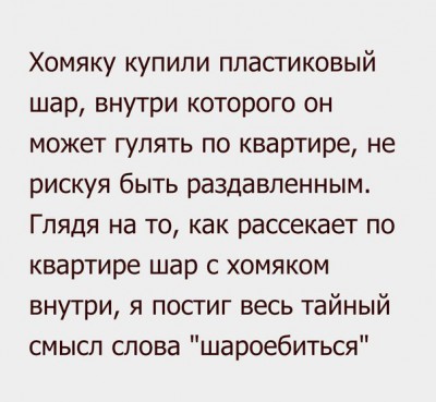 хомяк.jpg (60.57 КБ) Просмотров: 5394 хомяк.jpg